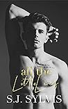 All the Little Lies by S.J. Sylvis