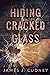 Hiding Cracked Glass (Perce...