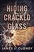 Hiding Cracked Glass (Perceptions of Glass #2)