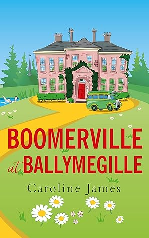 Boomerville at Ballymegille by Caroline James