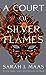 A Court of Silver Flames by Sarah J. Maas