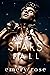 When the Stars Fall (Lost Stars, #1)