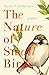 The Nature of Small Birds by Susie Finkbeiner