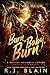 Burn, Baby, Burn (Magical Romantic Comedies, #8)