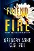 A Friend in the Fire (An Auden & O'Callaghan Mystery, #2)