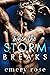 When the Storm Breaks (Lost Stars #2)