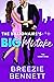 The Billionaire's Big Mistake (The Miami Vices, #4)