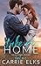 Take Me Home (The Heartbreak Brothers, #1) by Carrie Elks