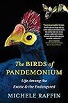 The Birds of Pandemonium by Michele Raffin