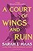 A Court of Wings and Ruin by Sarah J. Maas