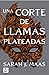 Una corte de llamas plateadas by Sarah J. Maas