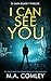 I Can See You (DI Sara Ramsey #14)