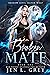 Broken Mate (Shadow City: Silver Wolf, #1)