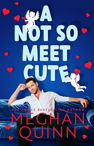 A Not So Meet Cute by Meghan Quinn