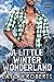 A Little Winter Wonderland (Montana Daddies, #12.5)