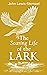 The Soaring Life of the Lark