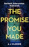 The Promise You Made by A.J. McDine