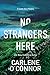 No Strangers Here (County Kerry Mystery, #1)