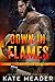 Down in Flames (Hot in Chicago Rookies, #2)