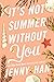 It's Not Summer Without You (Summer, #2)