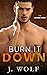 Burn it Down (The Savage Crew, #3)