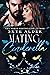 Mating Cinderella (Once Upon a Shifter, #3)