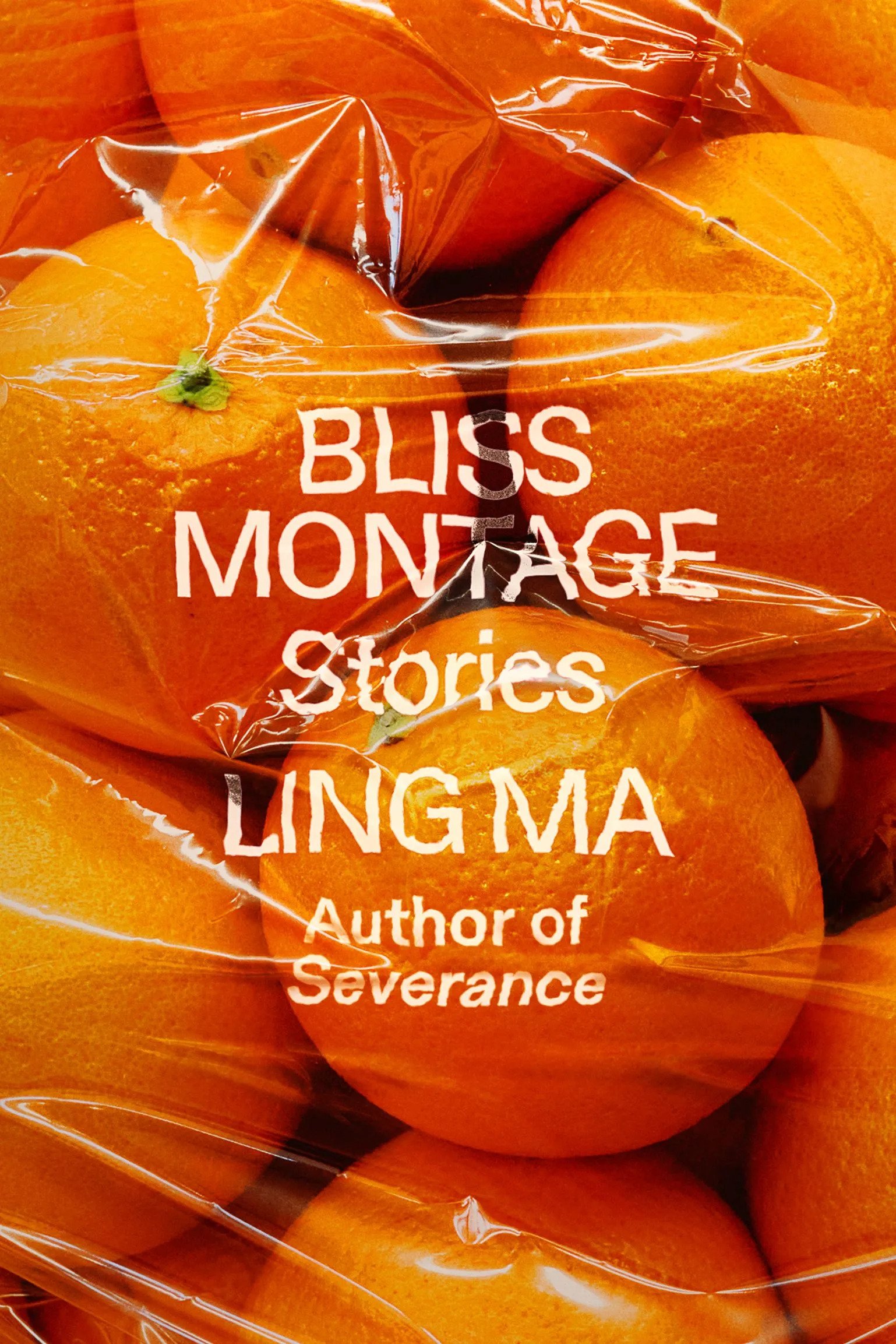 Bliss Montage by Ling  Ma