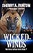 Wicked Winds (Jerry McNeal, #7)