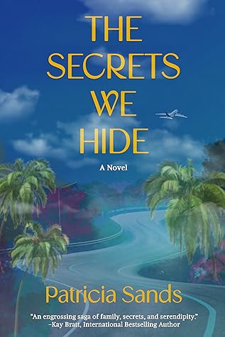 The Secrets We Hide by Patricia Sands