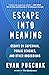 Escape into Meaning: Essays on Superman, Public Benches, and Other Obsessions