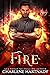 Fire (The Beast King Brides, #3)