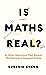 Is Maths Real? How Simple Questions Lead Us to Mathematics’ Deepest Truths