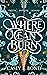 Where Oceans Burn (Where Oceans Burn, #1)