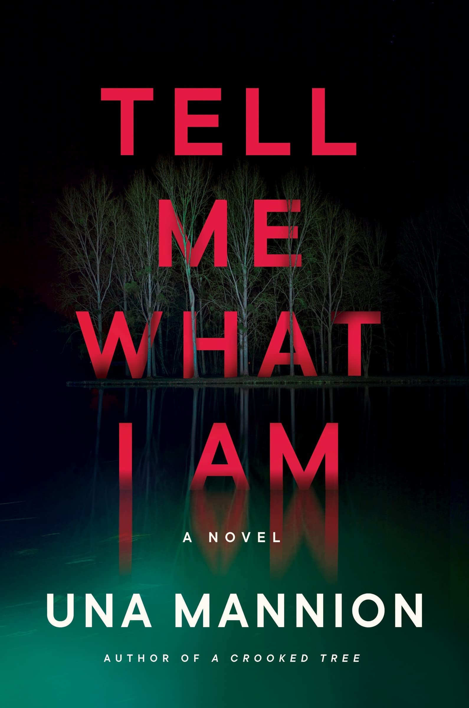 Tell Me What I Am by Una Mannion