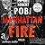 Manhattan Fire (Lucas Page, #1)