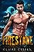 Firestone: The Omega & The Exiled Prince (Lost Princes of Morona #1)