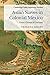 Asian Slaves in Colonial Mexico: From Chinos to Indians (Cambridge Latin American Studies, Series Number 100)