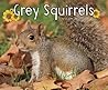 Grey Squirrels by G.G. Lake