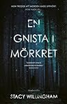 En gnista i mörkret by Stacy Willingham