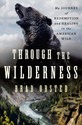 Through the Wilderness by Brad Orsted