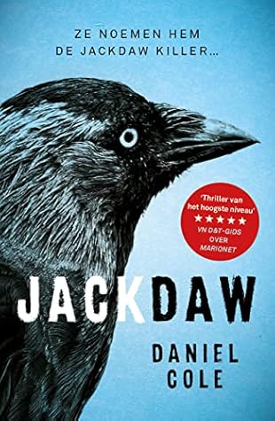 Jackdaw by Daniel Cole