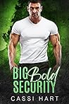 Big Bold Security by Cassi Hart