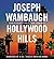 Hollywood Hills: A Novel