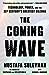 The Coming Wave: Technology, Power, and the Twenty-first Century's Greatest Dilemma