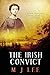 The Irish Convict (Jayne Sinclair Genealogical Mystery #8)