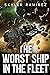 The Worst Ship in the Fleet (Dumb Luck and Dead Heroes, #1)