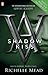 Vampire Academy: Shadow Kiss (book 3) by Mead, Richelle (2010) Paperback