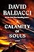 A Calamity of Souls by David Baldacci