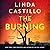 The Burning (Kate Burkholder, #16)