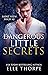 Dangerous Little Secrets (S...